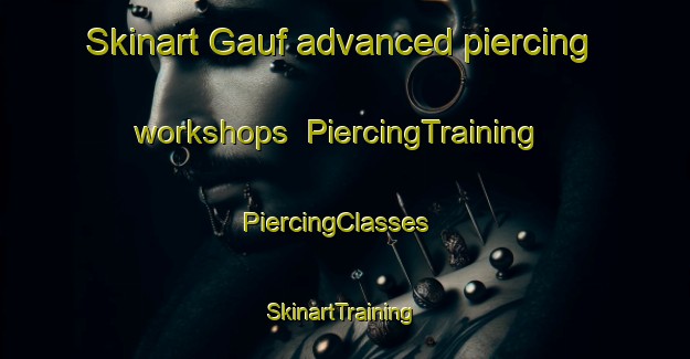 Skinart Gauf advanced piercing workshops | PiercingTraining | PiercingClasses | SkinartTraining-Russia