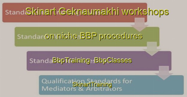 Skinart Geknaumakhi workshops on niche BBP procedures | BbpTraining | BbpClasses | SkinartTraining-Russia