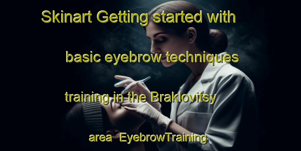 Skinart Getting started with basic eyebrow techniques training in the Braklovitsy area | EyebrowTraining | EyebrowClasses | SkinartTraining-Russia