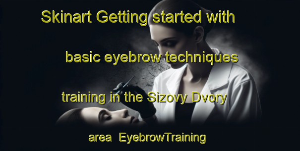 Skinart Getting started with basic eyebrow techniques training in the Sizovy Dvory area | EyebrowTraining | EyebrowClasses | SkinartTraining-Russia