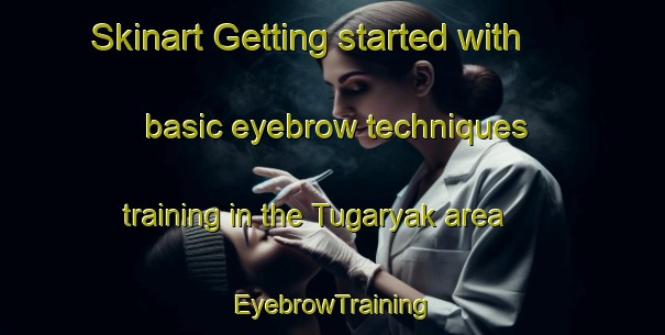 Skinart Getting started with basic eyebrow techniques training in the Tugaryak area | EyebrowTraining | EyebrowClasses | SkinartTraining-Russia