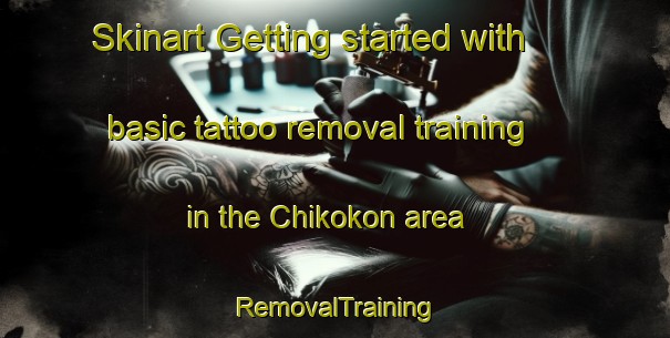 Skinart Getting started with basic tattoo removal training in the Chikokon area | RemovalTraining | RemovalClasses | SkinartTraining-Russia
