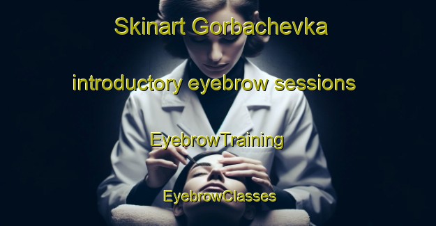 Skinart Gorbachevka introductory eyebrow sessions | EyebrowTraining | EyebrowClasses | SkinartTraining-Russia