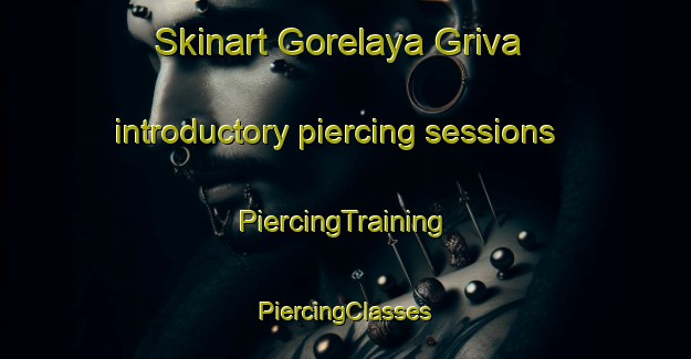 Skinart Gorelaya Griva introductory piercing sessions | #PiercingTraining #PiercingClasses #SkinartTraining-Russia