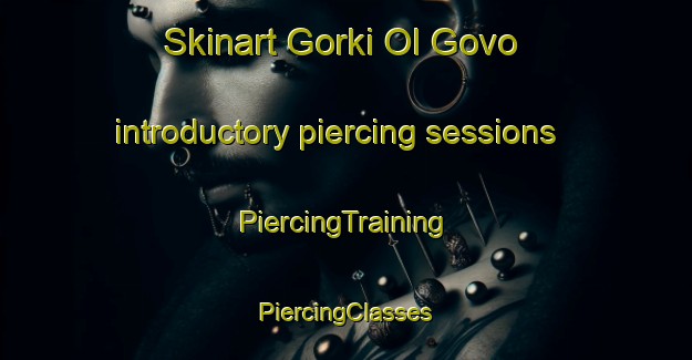 Skinart Gorki Ol Govo introductory piercing sessions | #PiercingTraining #PiercingClasses #SkinartTraining-Russia