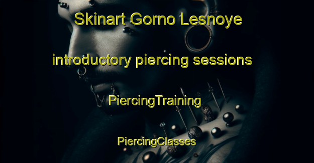 Skinart Gorno Lesnoye introductory piercing sessions | #PiercingTraining #PiercingClasses #SkinartTraining-Russia