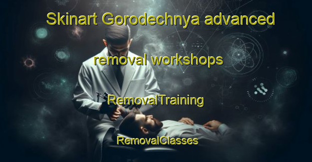 Skinart Gorodechnya advanced removal workshops | RemovalTraining | RemovalClasses | SkinartTraining-Russia