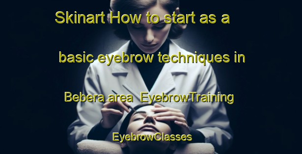 Skinart How to start as a basic eyebrow techniques in Bebera area | EyebrowTraining | EyebrowClasses | SkinartTraining-Russia