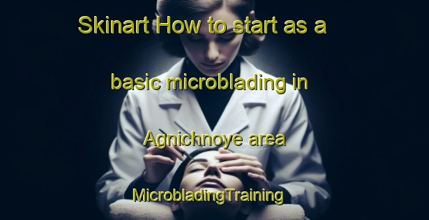 Skinart How to start as a basic microblading in Agnichnoye area | MicrobladingTraining | MicrobladingClasses | SkinartTraining-Russia