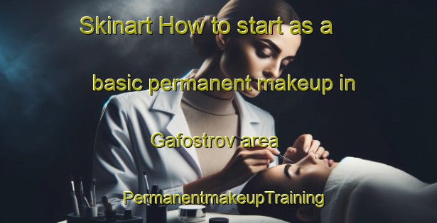Skinart How to start as a basic permanent makeup in Gafostrov area | PermanentmakeupTraining | PermanentmakeupClasses | SkinartTraining-Russia
