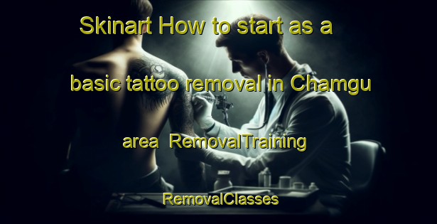 Skinart How to start as a basic tattoo removal in Chamgu area | RemovalTraining | RemovalClasses | SkinartTraining-Russia