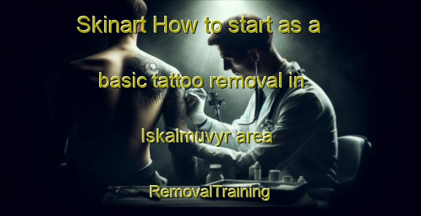 Skinart How to start as a basic tattoo removal in Iskalmuvyr area | RemovalTraining | RemovalClasses | SkinartTraining-Russia