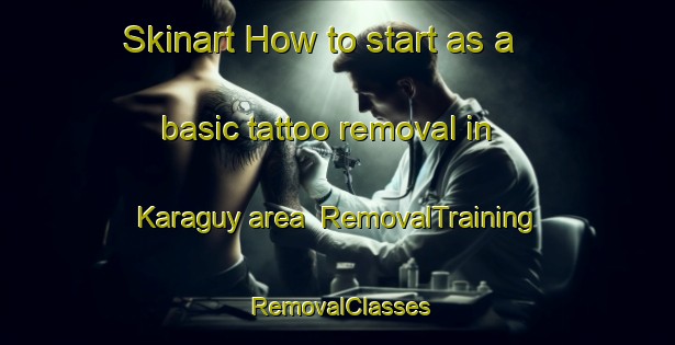 Skinart How to start as a basic tattoo removal in Karaguy area | RemovalTraining | RemovalClasses | SkinartTraining-Russia