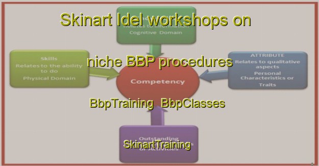 Skinart Idel workshops on niche BBP procedures | BbpTraining | BbpClasses | SkinartTraining-Russia