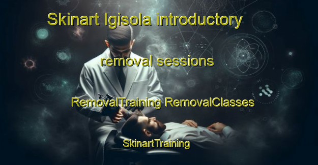 Skinart Igisola introductory removal sessions | #RemovalTraining #RemovalClasses #SkinartTraining-Russia