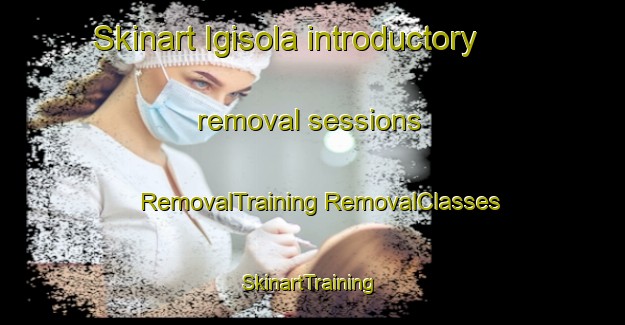 Skinart Igisola introductory removal sessions | #RemovalTraining #RemovalClasses #SkinartTraining-Russia