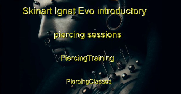 Skinart Ignat Evo introductory piercing sessions | PiercingTraining | PiercingClasses | SkinartTraining-Russia