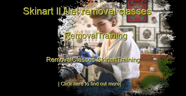 Skinart Il Net removal classes | #RemovalTraining #RemovalClasses #SkinartTraining-Russia