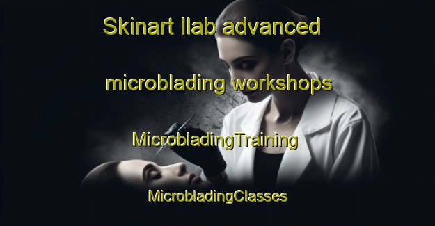 Skinart Ilab advanced microblading workshops | #MicrobladingTraining #MicrobladingClasses #SkinartTraining-Russia