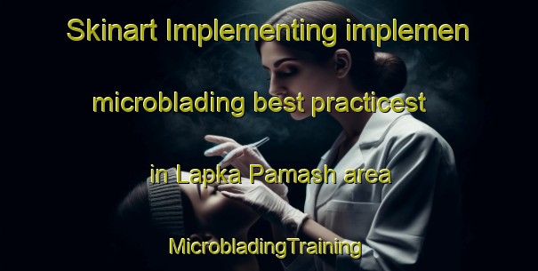 Skinart Implementing implemen microblading best practicest in Lapka Pamash area | #MicrobladingTraining #MicrobladingClasses #SkinartTraining-Russia