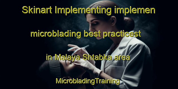 Skinart Implementing implemen microblading best practicest in Malaya Shtabka area | #MicrobladingTraining #MicrobladingClasses #SkinartTraining-Russia