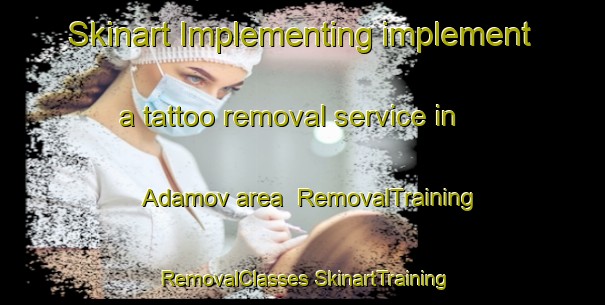 Skinart Implementing implement a tattoo removal service in Adamov area | #RemovalTraining #RemovalClasses #SkinartTraining-Russia