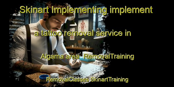 Skinart Implementing implement a tattoo removal service in Algama area | #RemovalTraining #RemovalClasses #SkinartTraining-Russia