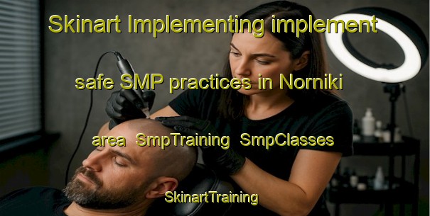 Skinart Implementing implement safe SMP practices in Norniki area | SmpTraining | SmpClasses | SkinartTraining-Russia