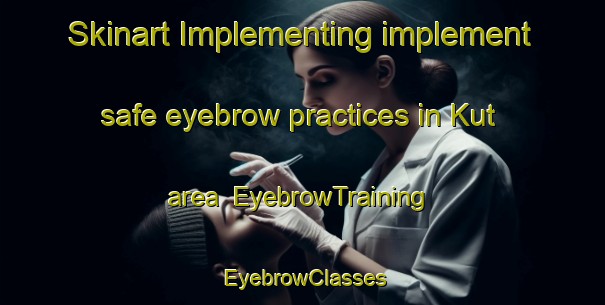 Skinart Implementing implement safe eyebrow practices in Kut area | EyebrowTraining | EyebrowClasses | SkinartTraining-Russia