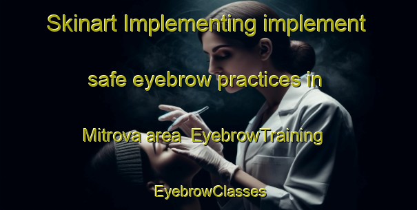 Skinart Implementing implement safe eyebrow practices in Mitrova area | EyebrowTraining | EyebrowClasses | SkinartTraining-Russia
