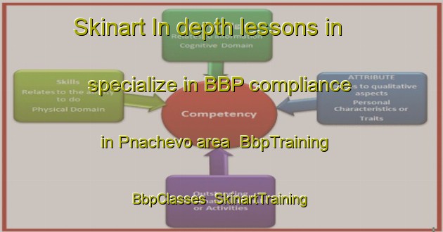 Skinart In-depth lessons in specialize in BBP compliance in Pnachevo area | BbpTraining | BbpClasses | SkinartTraining-Russia