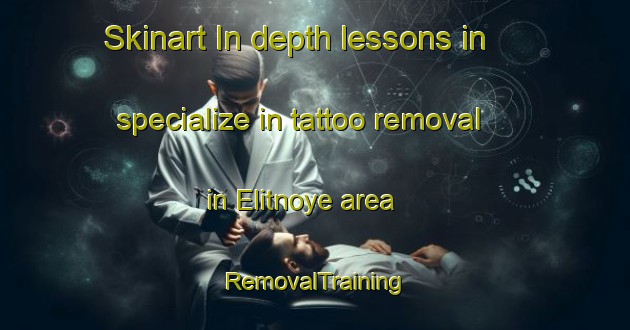 Skinart In-depth lessons in specialize in tattoo removal in Elitnoye area | RemovalTraining | RemovalClasses | SkinartTraining-Russia
