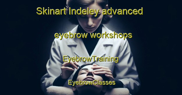 Skinart Indeley advanced eyebrow workshops | EyebrowTraining | EyebrowClasses | SkinartTraining-Russia