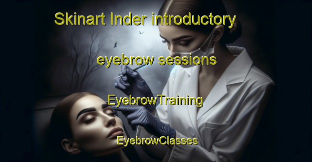 Skinart Inder introductory eyebrow sessions | EyebrowTraining | EyebrowClasses | SkinartTraining-Russia