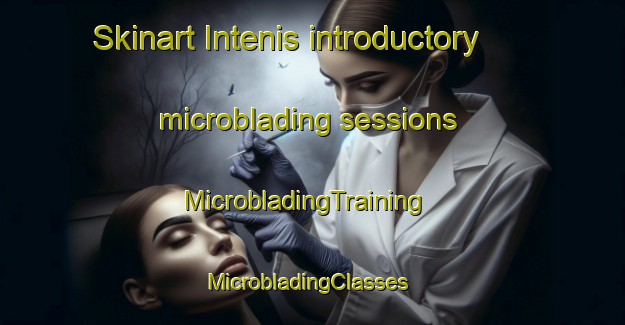 Skinart Intenis introductory microblading sessions | MicrobladingTraining | MicrobladingClasses | SkinartTraining-Russia