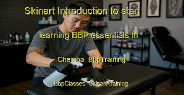 Skinart Introduction to start learning BBP essentials in Chemba | BbpTraining | BbpClasses | SkinartTraining-Russia