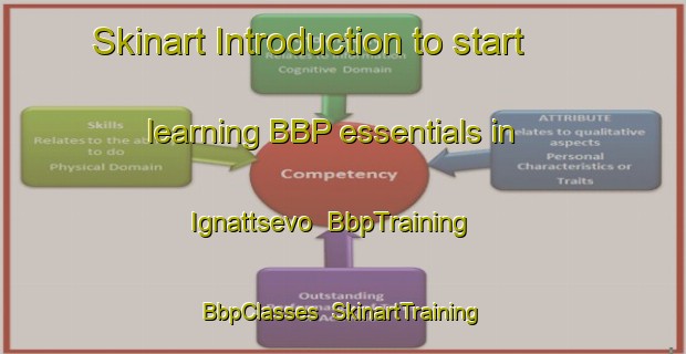 Skinart Introduction to start learning BBP essentials in Ignattsevo | BbpTraining | BbpClasses | SkinartTraining-Russia