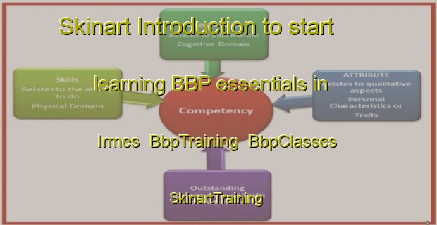 Skinart Introduction to start learning BBP essentials in Irmes | BbpTraining | BbpClasses | SkinartTraining-Russia