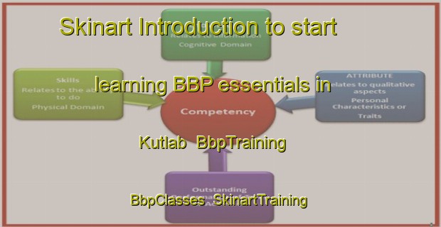 Skinart Introduction to start learning BBP essentials in Kutlab | BbpTraining | BbpClasses | SkinartTraining-Russia