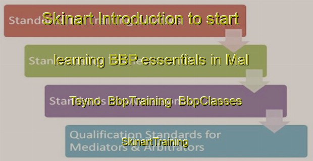 Skinart Introduction to start learning BBP essentials in Mal Tsyno | BbpTraining | BbpClasses | SkinartTraining-Russia