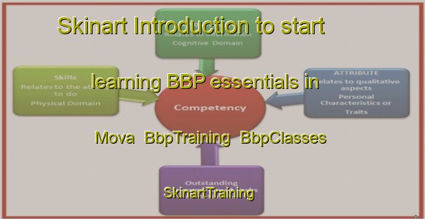 Skinart Introduction to start learning BBP essentials in Mova | BbpTraining | BbpClasses | SkinartTraining-Russia