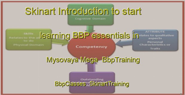 Skinart Introduction to start learning BBP essentials in Mysovaya Mega | BbpTraining | BbpClasses | SkinartTraining-Russia