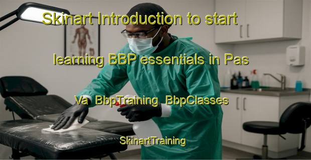 Skinart Introduction to start learning BBP essentials in Pas Va | BbpTraining | BbpClasses | SkinartTraining-Russia