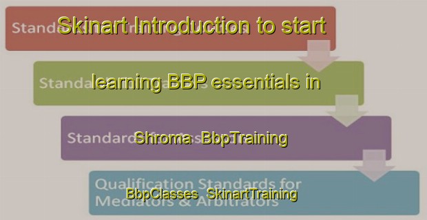 Skinart Introduction to start learning BBP essentials in Shroma | BbpTraining | BbpClasses | SkinartTraining-Russia
