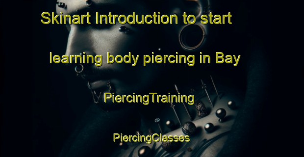 Skinart Introduction to start learning body piercing in Bay | #PiercingTraining #PiercingClasses #SkinartTraining-Russia