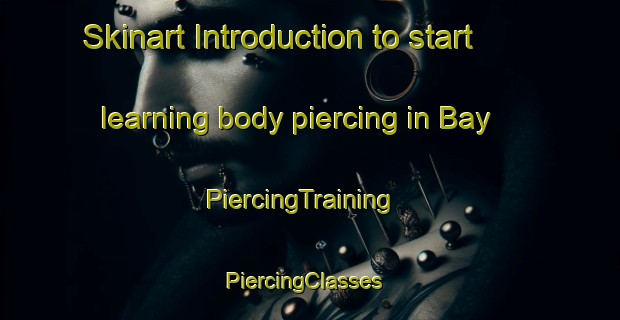Skinart Introduction to start learning body piercing in Bay | PiercingTraining | PiercingClasses | SkinartTraining-Russia