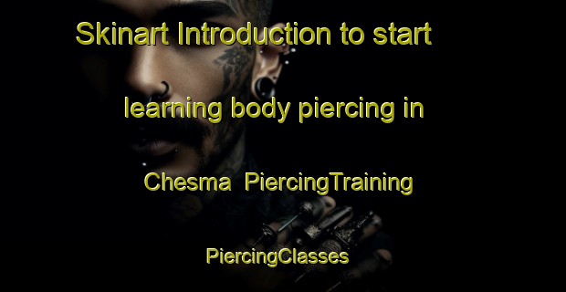 Skinart Introduction to start learning body piercing in Chesma | PiercingTraining | PiercingClasses | SkinartTraining-Russia