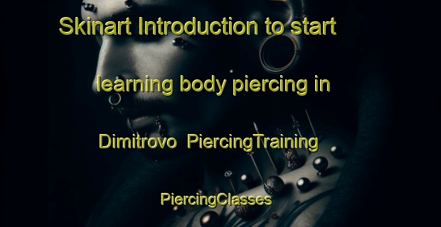 Skinart Introduction to start learning body piercing in Dimitrovo | PiercingTraining | PiercingClasses | SkinartTraining-Russia