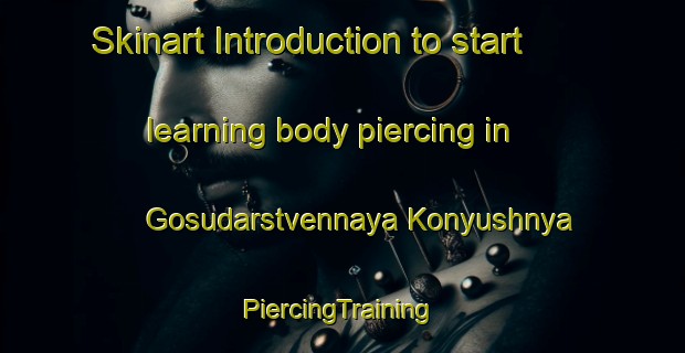 Skinart Introduction to start learning body piercing in Gosudarstvennaya Konyushnya | #PiercingTraining #PiercingClasses #SkinartTraining-Russia