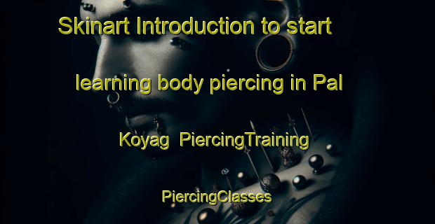 Skinart Introduction to start learning body piercing in Pal Koyag | #PiercingTraining #PiercingClasses #SkinartTraining-Russia